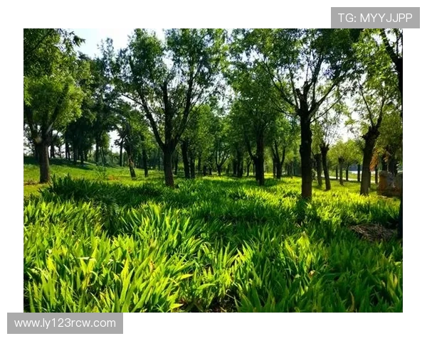泰尔齐奇对加图索充满信心期待他打造强队的未来
